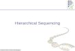 Hierarchical Sequencing