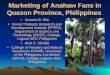 Marketing of Anahaw Fans in Quezon Province, Philippines
