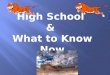 High School  &  What to Know Now