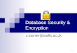 Database Security & Encryption