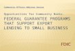 Federal  Guarantee Programs that Support Export Lending to Small Business