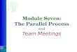 Module Seven: The Parallel Process and Team Meetings