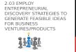 2.03 Employ entrepreneurial discovery strategies to generate feasible ideas for business ventures/products