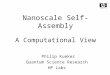 Nanoscale Self-Assembly A Computational View