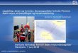 Lagdeling ,  strøm og hvirvler :  Oceanografiske forhold i Femern Bælt belyst af feltmålinger og lokalmodellering