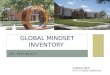 Global Mindset Inventory  