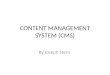CONTENT MANAGEMENT SYSTEM (CMS)