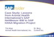 Case Study: Lessons from Animal Health International's SAP  NetWeaver  BW to SAP HANA Migration Project