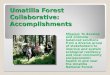 Umatilla Forest Collaborative:  Accomplishments