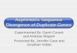 Asymmetric Sequence Divergence of Duplicate Genes