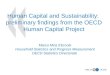Human Capital and Sustainability:  preliminary findings from the OECD Human Capital Project