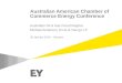 Australian American Chamber of Commerce Energy Conference