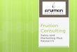 Fruition Consulting