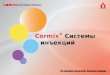Cormix ® Системы инъекций