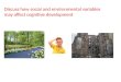 Discuss how social and environmental variables may affect cognitive development