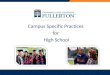 Campus Specific Practices  for  High  School