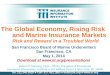 The Global Economy, Rising Risk        and Marine Insurance Markets Risk and Reward in a Troubled World