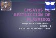 ENSAYOS DE RESTRICCIÓN DE PLÁSMIDOS