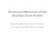 Structural Differences of  the Brazilian  Stock Market