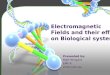 Electromagnetic Fields and their effect on Biological systems