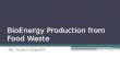 BioEnergy Production from  Food Waste