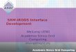 SRM- iRODS  Interface Development