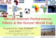 African Internet Performance, Fibres & the Soccer World Cup