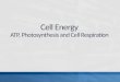 Cell Energy ATP, Photosynthesis and Cell Respiration