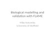 Biological  modelling  and validation with FLAME