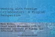 Working with Foreign Collaborators: A Program Perspective
