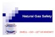 Natural Gas Safety