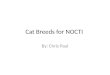 Cat Breeds for NOCTI