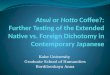 Atsui  or  Hotto Coffee?: Further Testing of the Extended Native vs. Foreign Dichotomy in Contemporary Japanese
