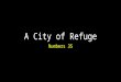 A City of Refuge