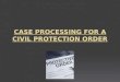Case Processing for a Civil Protection  Order