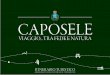 Caposele, brochure turistica 2011