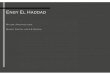 Engy El Haddad's Portfolio