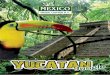 Mexico Trade Center - Yucatan Jungle