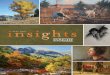 Fall Newsletter at Insight Gallery