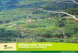 Objectif forêts: Passer à l’action: Rapport annuel 2010
