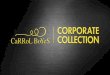 Carrol Boyes Corporate Collection 2013