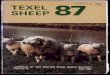Texel Sheep Society Journal, 1987