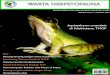 Warta herpetofauna edisi februari 2013