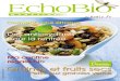 EchoBio N°31 : graines et fruits secs, petits aux grandes vertus