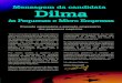 Propostas Dilma 13