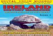 Ireland History Magazine 1