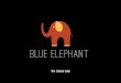 Brand book - Blue Elephant
