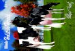 Illinois Holstein Herald Fall 2012