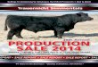 Trauernicht Sale Report 2014