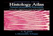 Histology Atlas : Normal structure of Salmonids